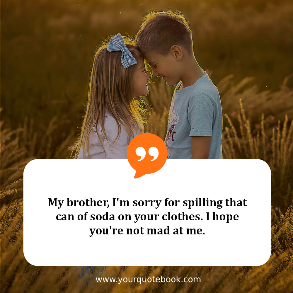 emotional sorry message for brother