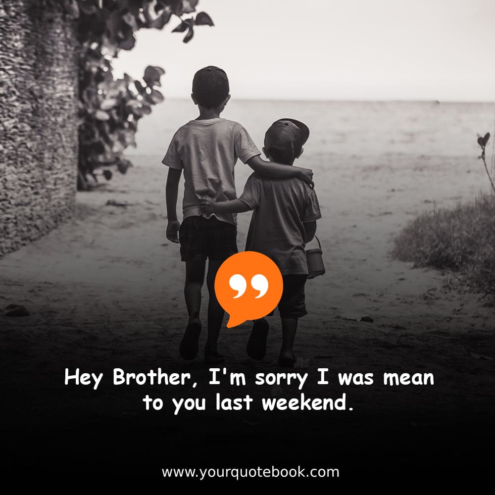 sorry images for brother