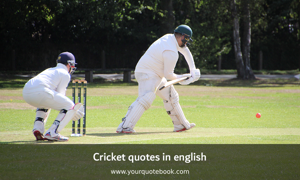 cricket quotes in english